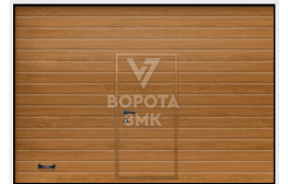 Ворота пожарные Алютех 4500×2500 ЗМК-3739